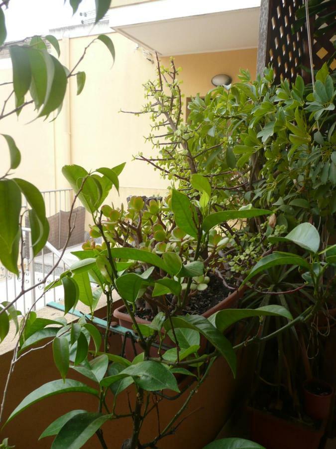 B&B La Casetta Quartu Sant'Elena Exterior photo